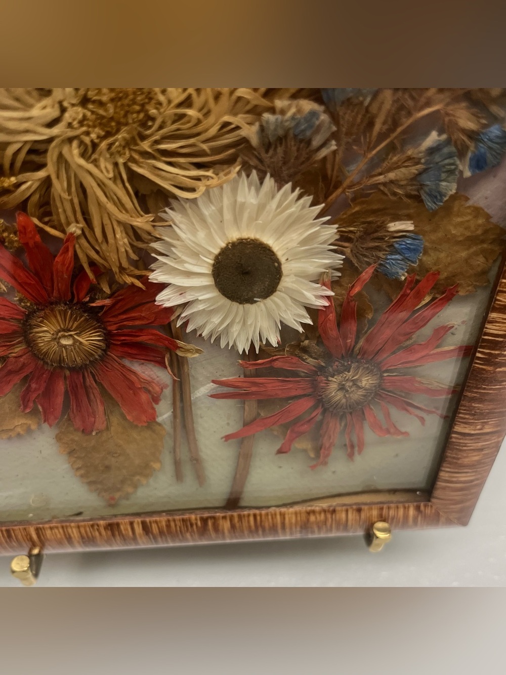 Vintage 1977 Polish Dried Flower Art,Rzeszów Botanical Shadow Box,16,5”x7,5” - Picture 6 of 12